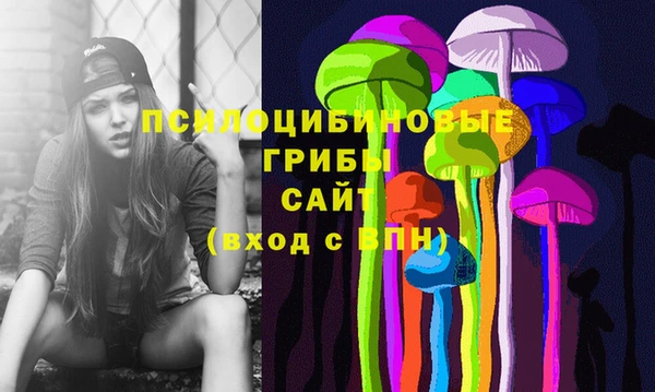 не бодяженный Аркадак