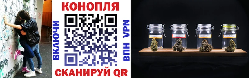 где купить наркоту  Кимры  Канабис MAZAR 
